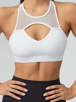 Ambrosia Sports Bra